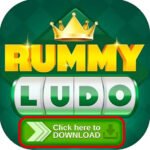 Ludo Rummy