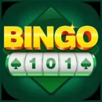 Bingo 101