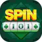 Spin 101